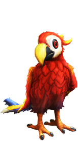 Parrot i My Free Zoo